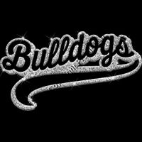 GLT78   SILVER GLITTER Thumbnail