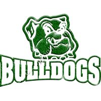 GLT32 GREEN GLITTER Thumbnail